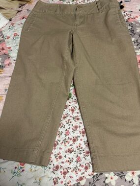 Cato Women’s Capris in Khaki Tan